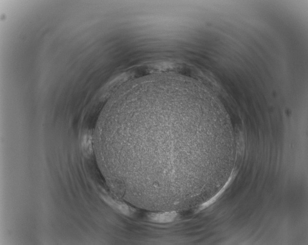 X0000062930191200601181319