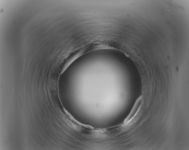 X0000062930192200601181319