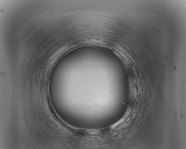 X0000062930193200601181318