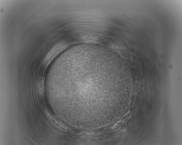 X0000062930194200601181318