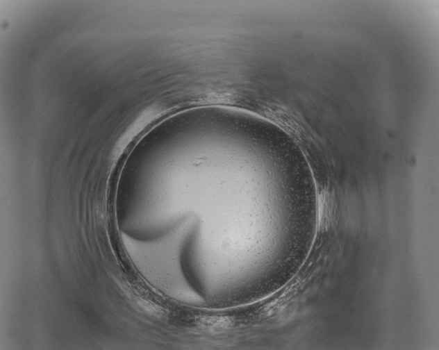 X0000062930195200601181318