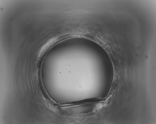 X0000062930197200601181318