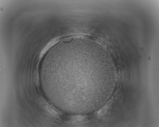 X0000062930198200601181318