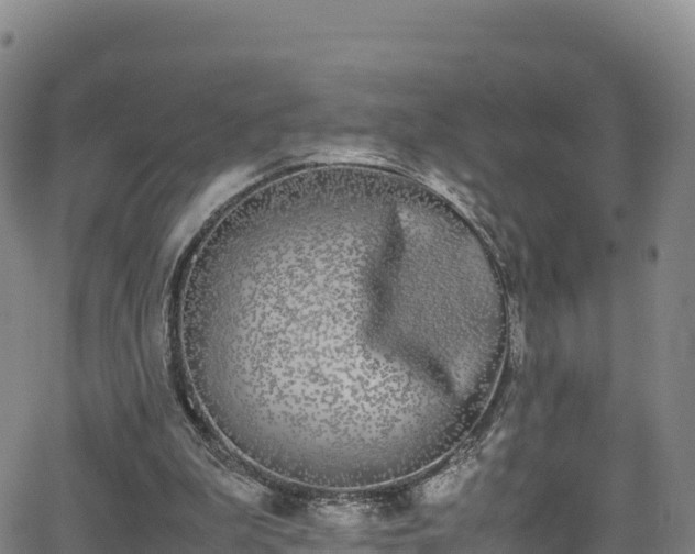 X0000062930199200601181318