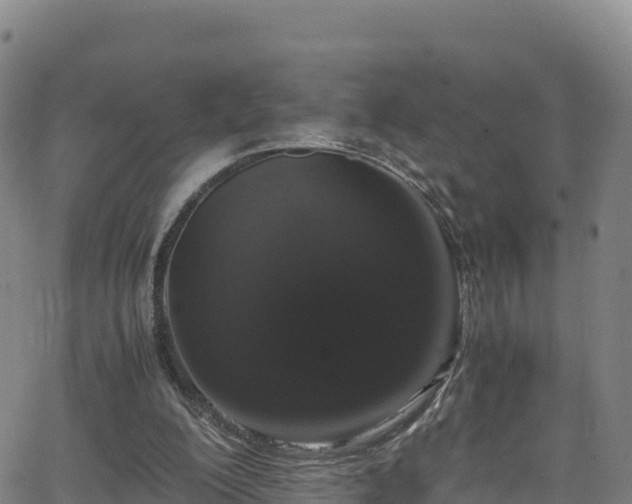 X0000062930200200601181318