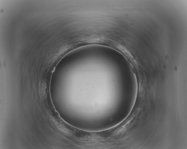 X0000062930201200601181318