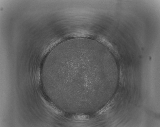 X0000062930202200601181318