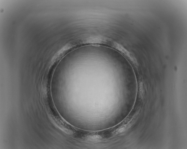 X0000062930203200601181318