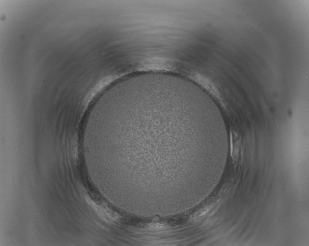 X0000062930204200601181318