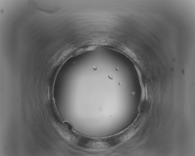 X0000062930205200601181318