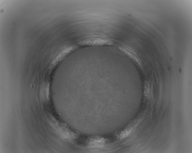 X0000062930206200601181318