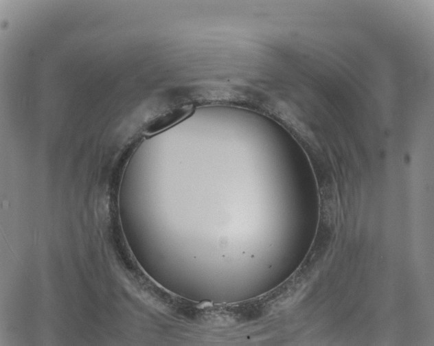 X0000062930207200601181318