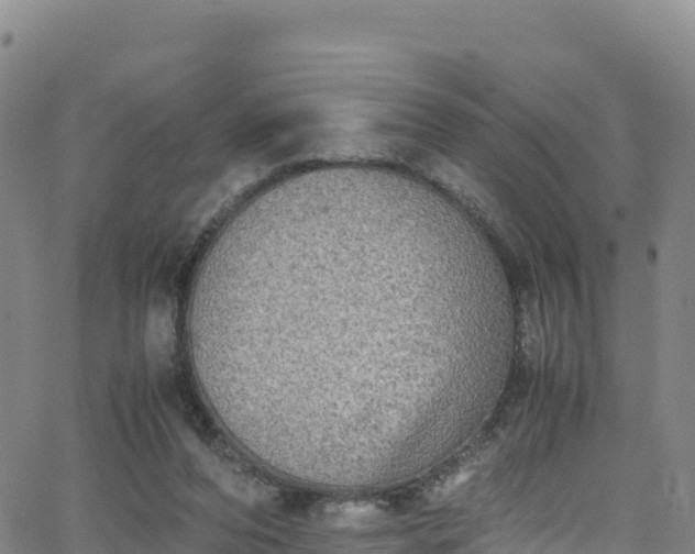 X0000062930208200601181318