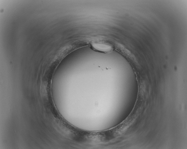 X0000062930209200601181318