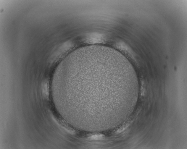 X0000062930210200601181318