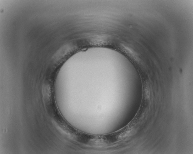 X0000062930211200601181318