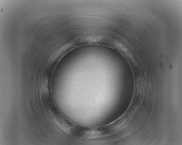 X0000062930212200601181318