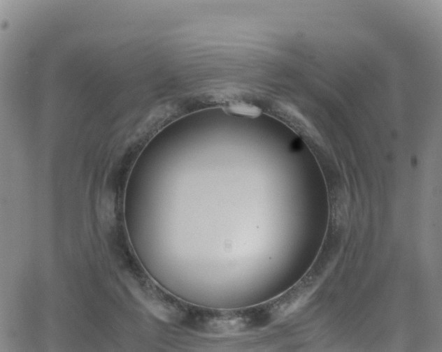 X0000062930213200601181318