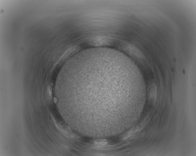 X0000062930214200601181318