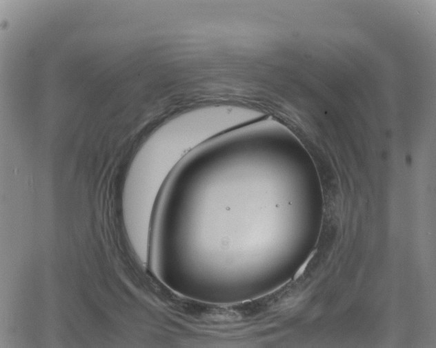 X0000062930215200601181318