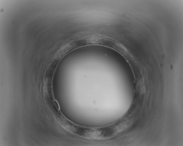 X0000062930217200601181318