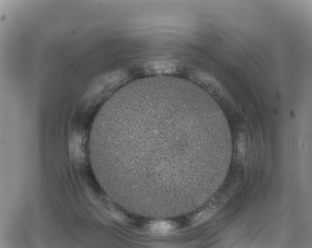 X0000062930218200601181318