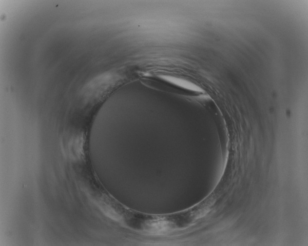 X0000062930219200601181318