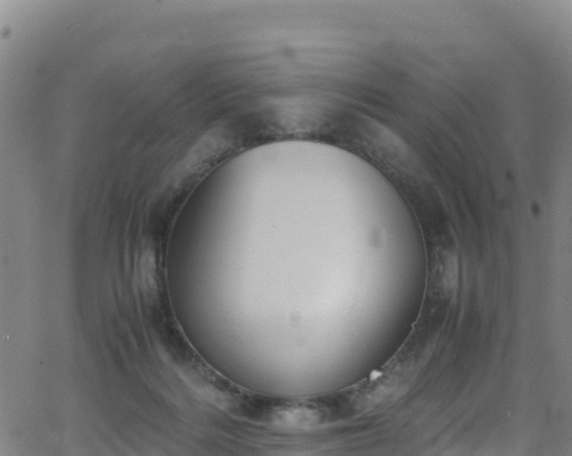 X0000062930220200601181318