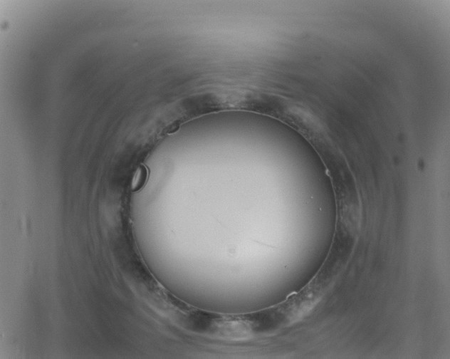 X0000062930221200601181318