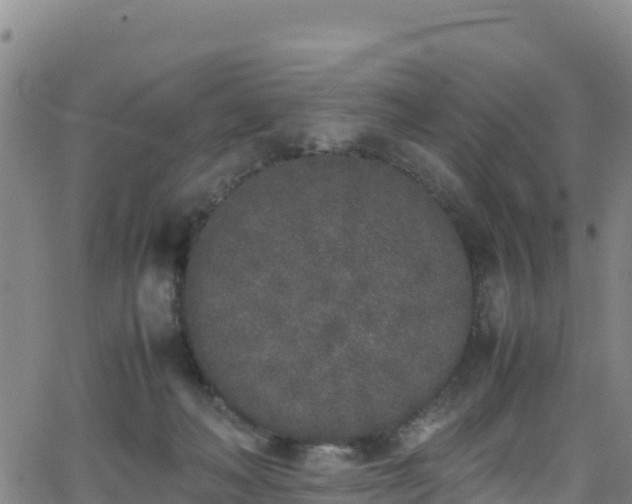 X0000062930222200601181318