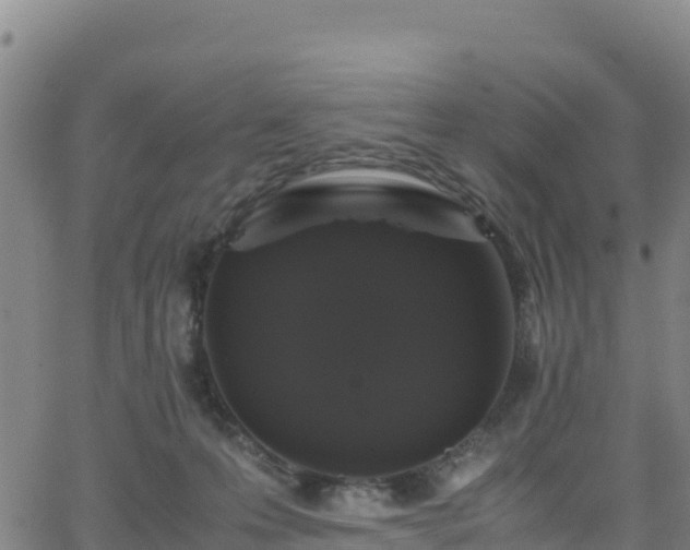 X0000062930223200601181318