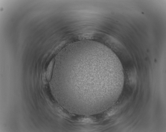 X0000062930224200601181318