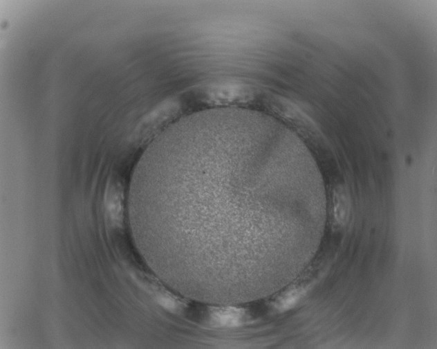 X0000062930226200601181317