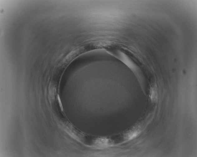 X0000062930227200601181317