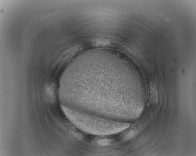 X0000062930228200601181317