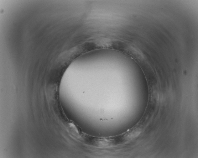 X0000062930229200601181317