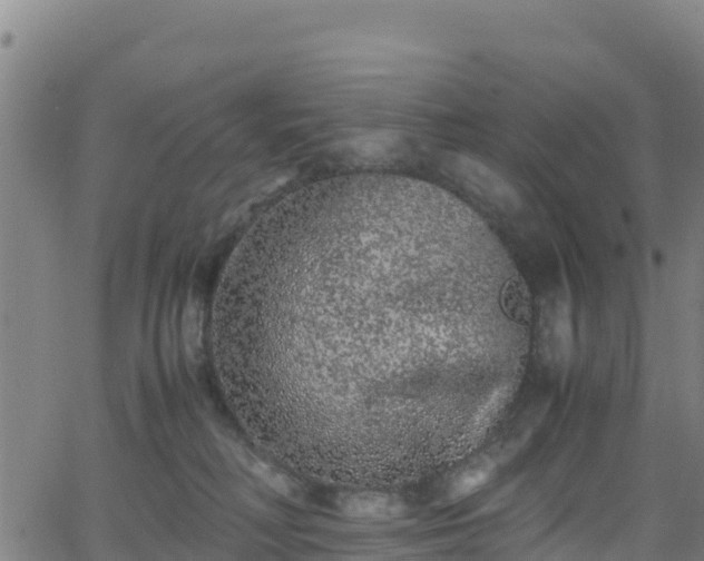 X0000062930230200601181317