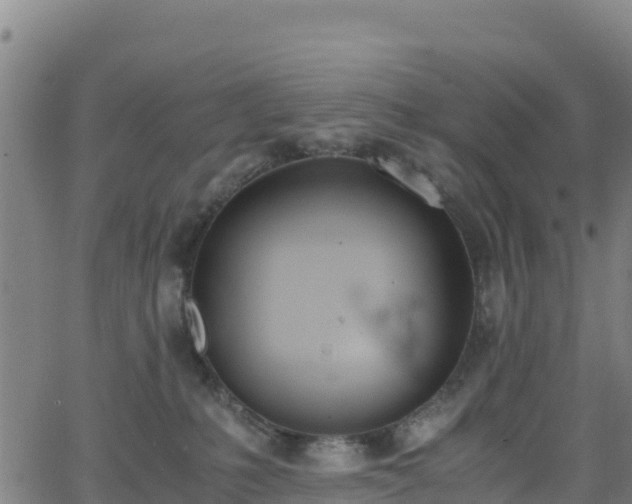 X0000062930231200601181317