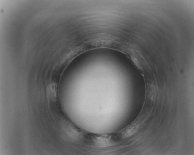 X0000062930232200601181317