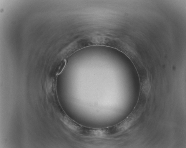 X0000062930233200601181317