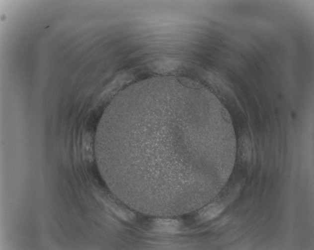 X0000062930234200601181317