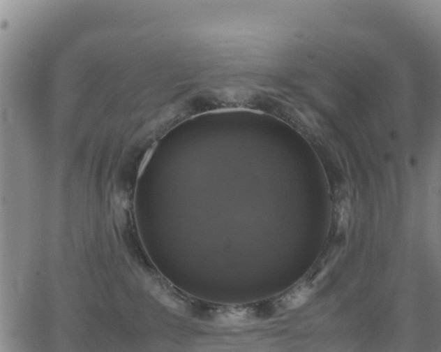 X0000062930235200601181317