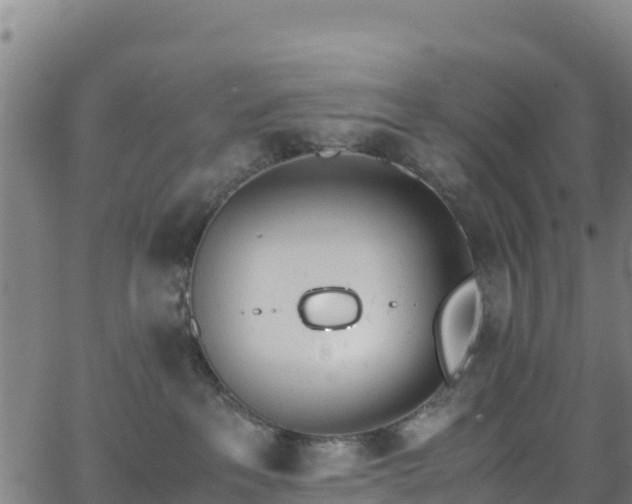 X0000062930237200601181317