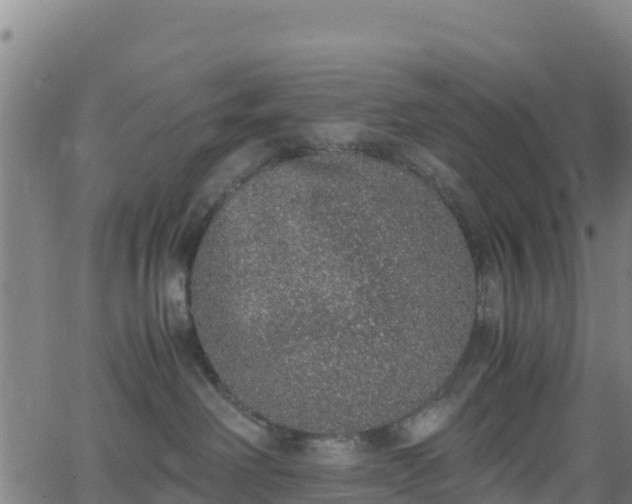 X0000062930238200601181317