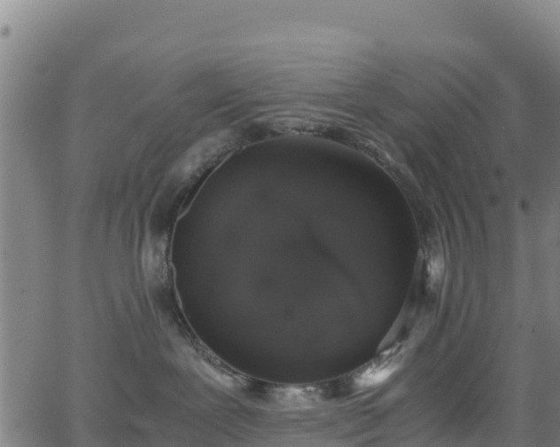 X0000062930239200601181317