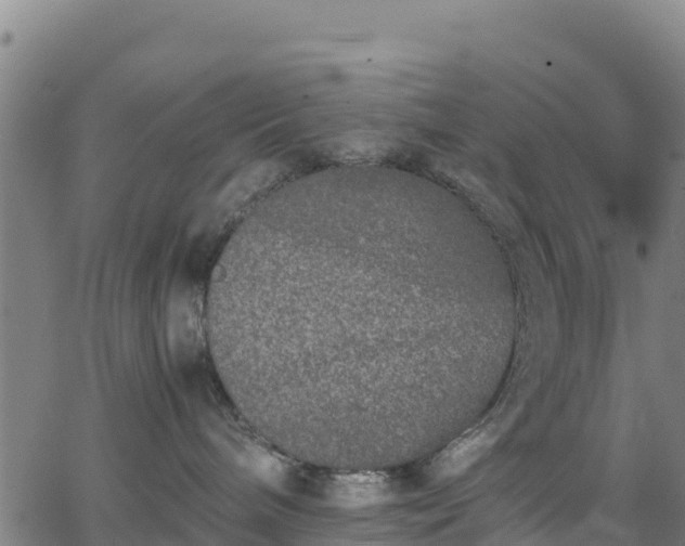 X0000062930240200601181317