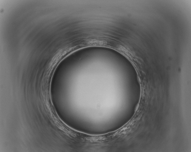 X0000062930241200601181316