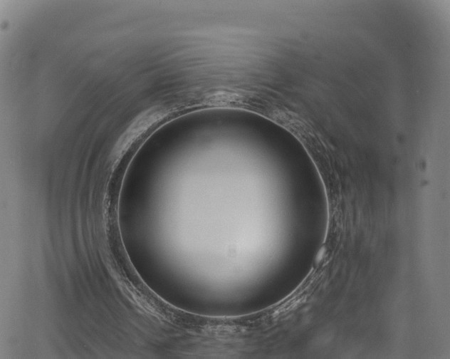 X0000062930242200601181316