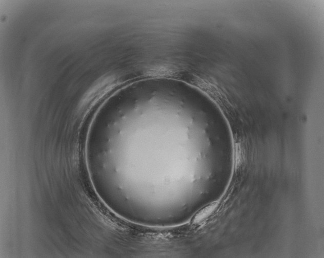 X0000062930243200601181317