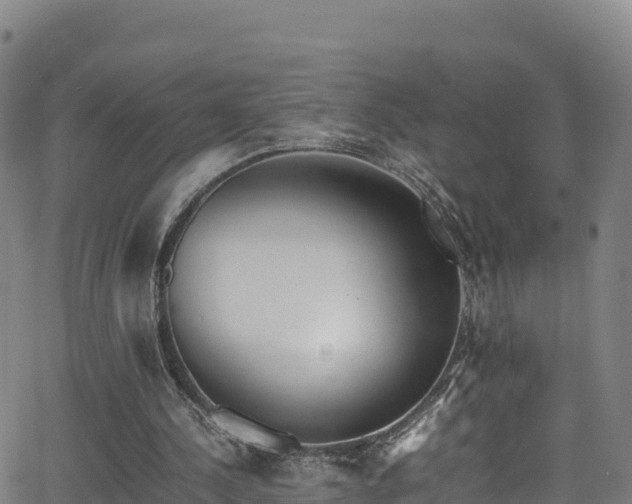 X0000062930244200601181317